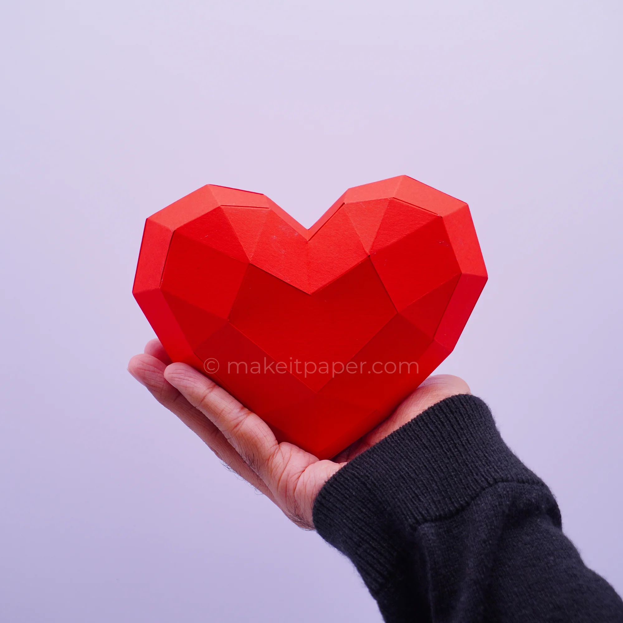Heart, view 4