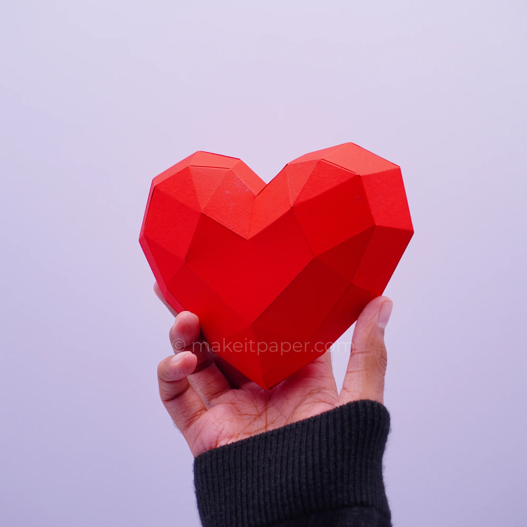 Heart, view 3