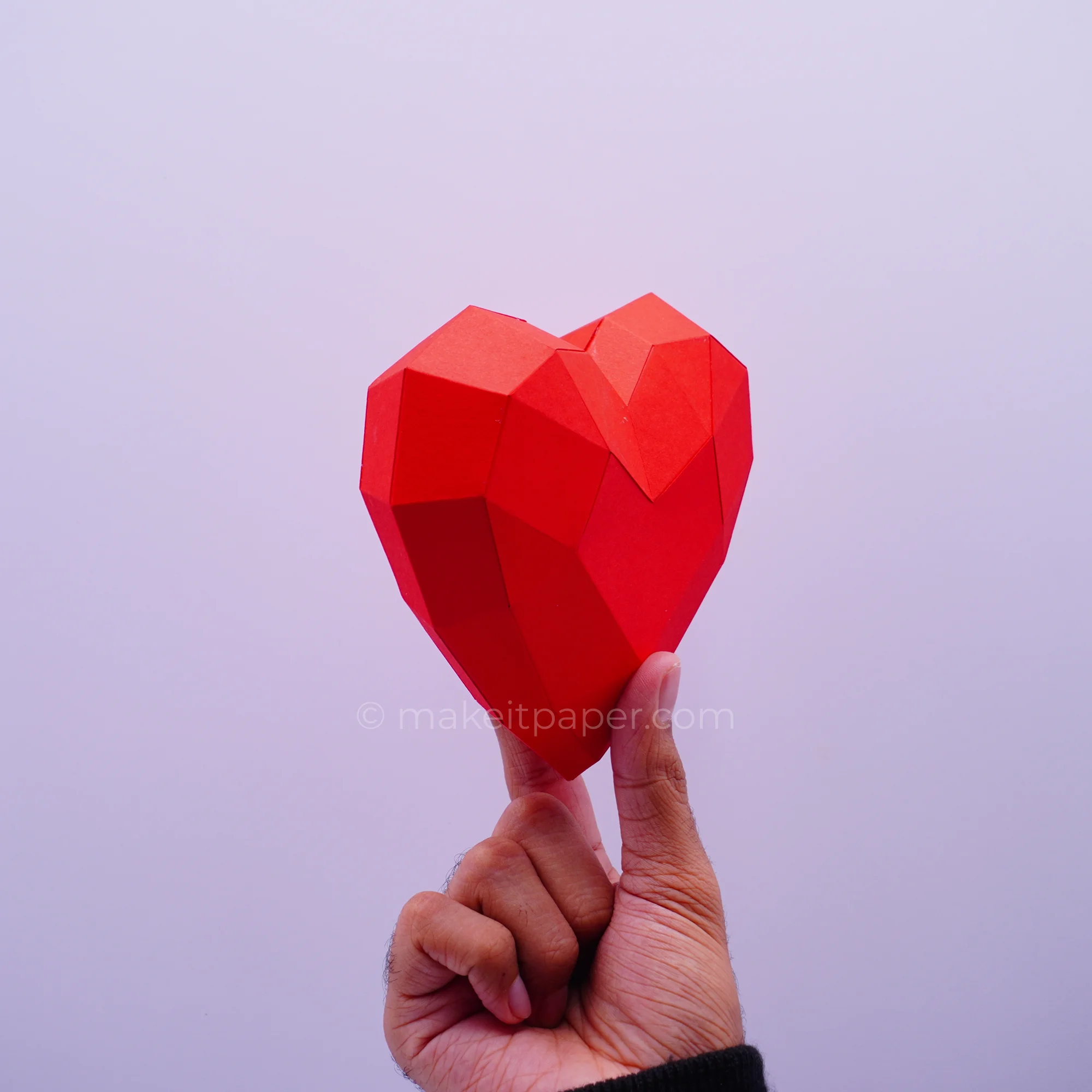 Heart, view 5